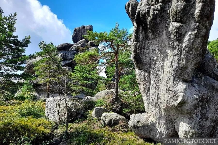 Pokoje U Filipa Bad Kudowa Exterior foto